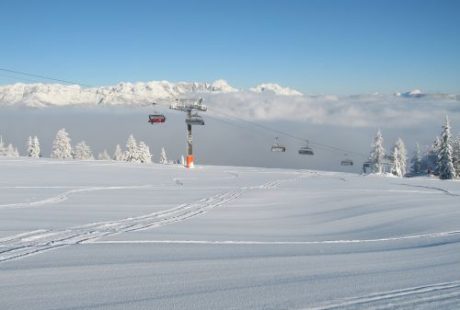 JOSK Ski Amade