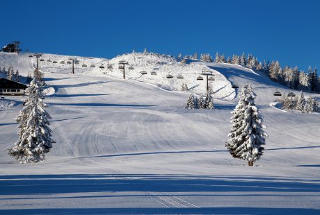 JOSK Flachau Ski Amade